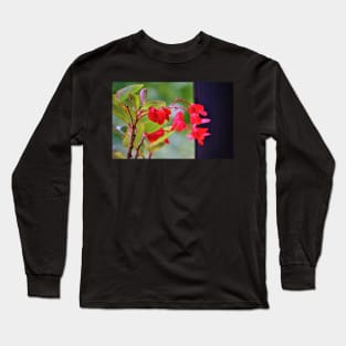 Dragon Wing Begonia Long Sleeve T-Shirt